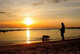 Ein Mann mit Hund an einem Strand bei Sonnenuntergang