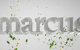 Marcus 2020