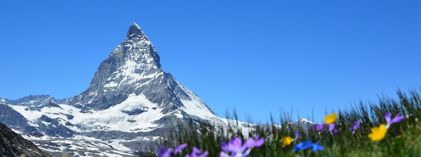 Spektakulärer Blick auf das Matterhorn in der Schweiz, mit gelben und violetten Wildblumen im Vordergrund