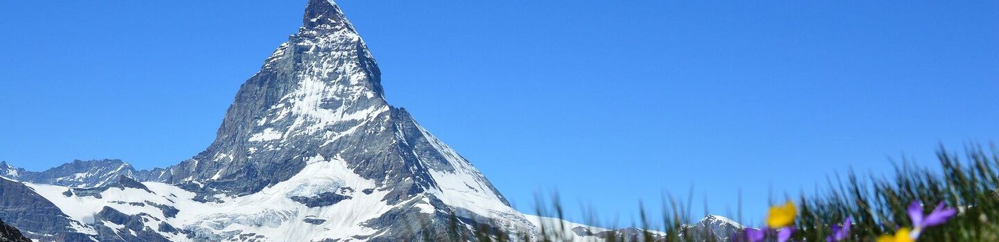 Spektakulärer Blick auf das Matterhorn in der Schweiz, mit gelben und violetten Wildblumen im Vordergrund