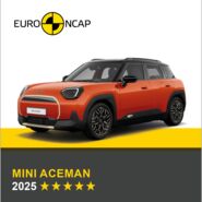 Auf dem Bild sieht man ein oranges Auto. Darüber das Logo des Crashtest-Konsortiums Euro NCAP. Unter dem Auto steht in gelber Schrift auf grauem Hintergrund, um welches Fahrzeug es sich handelt sowie die Sternebewertung, in weißer Schrift das Jahr des Tests.