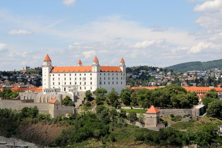 Eine Stadt mit Bäumen und eine große weiße Burg in der Mitte