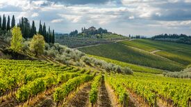 Landschaft mit Weinbergen in der Region Chianti, Italien