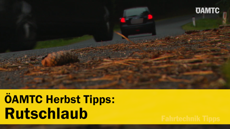 Platzhalter Platzhalter