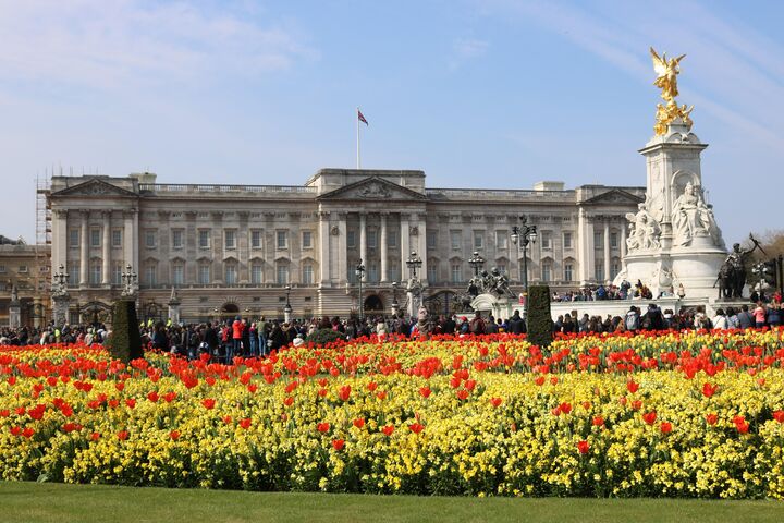 Buckingham Palace mit bunten Blumen im Vordergrund