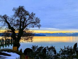 Blick über den Starnbergersee bei Sonnenuntergang im Winter