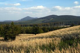 Naturlandschaft mit Ähren, Wäldern und Hügeln